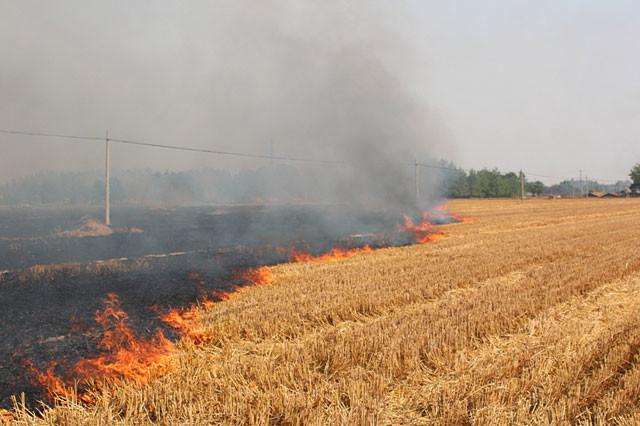 秸稈焚燒產(chǎn)生大量煙塵 秸稈焚燒產(chǎn)生大量煙塵