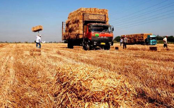 黑龍江秸稈顆粒機(jī)原料.jpg 黑龍江秸稈顆粒機(jī)原料.jpg