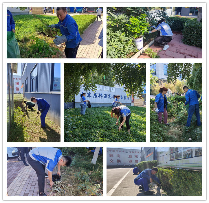 大家清掃、拾撿綠化帶垃圾，清理路邊縫隙死角內(nèi)的煙頭和雜物.jpg